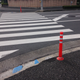Illustration for article titled Heres What Youll Actually See When Driving Around Japan
